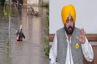CM Mann's government helping the flood victims in Punjab