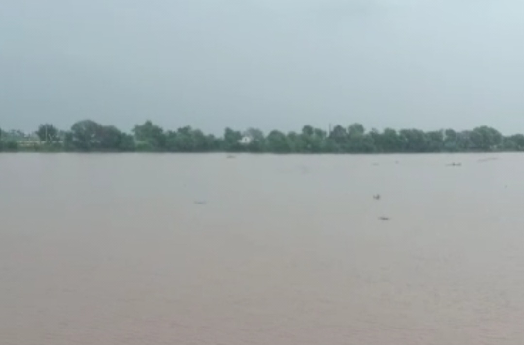 पंजाब, हिमाचल और हरियाणा में भारी बरसात से घग्गर नदी जलस्तर बढ़ा