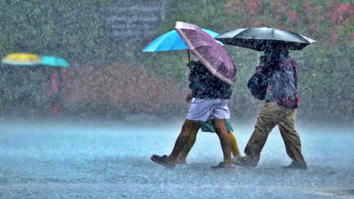 WEATHER UPDATES IN KERALA  ORANGE ALERT IN THREE DISTRICTS  RAIN DISASTER IN KERALA  മൂന്ന് ജില്ലകളിൽ ഓറഞ്ച് അലര്‍ട്ട്