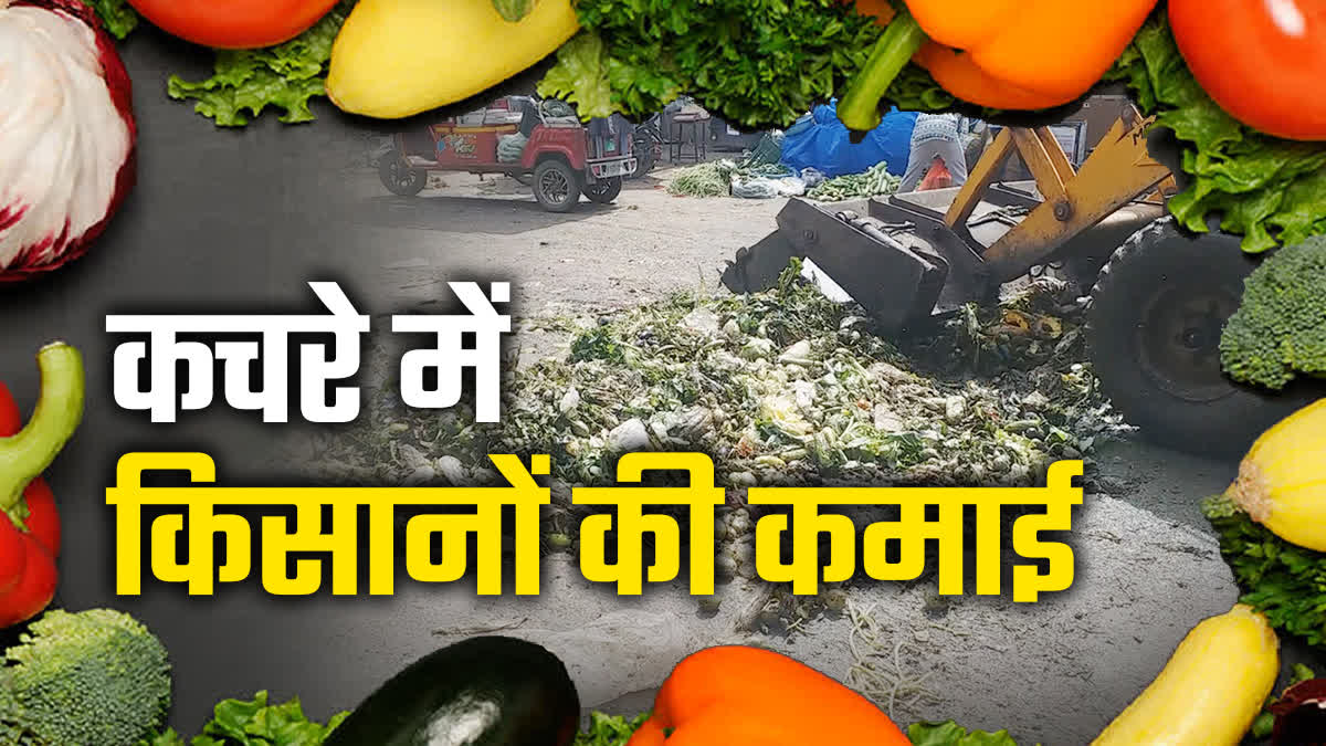 Indore Quintals Vegetable In Rs 100