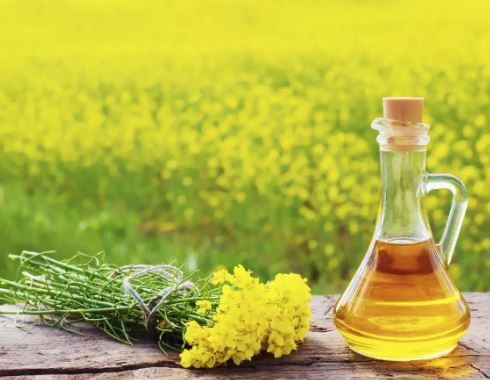 Health Benefits Of Mustard Oil