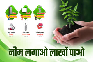 NEEM PLANTATION CAMPAIGN SAGAR