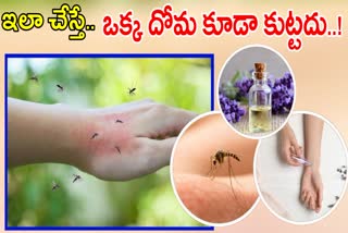 Prevent Mosquito Bites