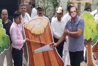 AAP PROTEST  OVER 1100 TREE CUTTING