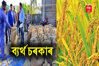 Reduction in paddy procurement target again in the second phase of the current year 2024