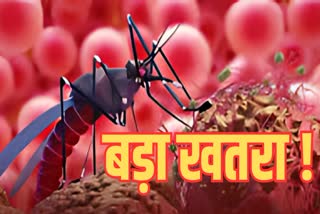 Chandipura Virus