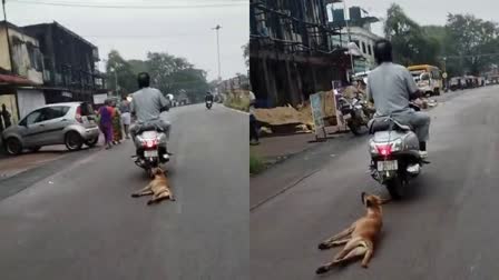 ದ್ವಿಚಕ್ರ ವಾಹನಕ್ಕೆ ನಾಯಿ ಕಟ್ಟಿ ಎಳೆದೊಯ್ದ ವ್ಯಕ್ತಿ