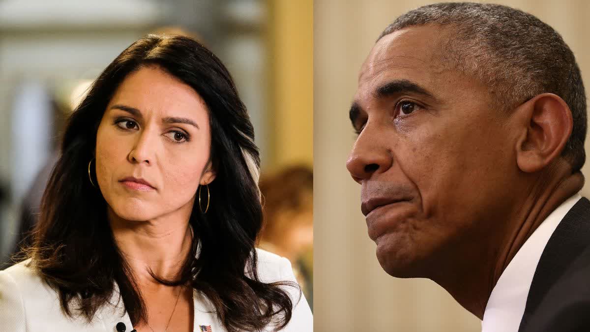 dni gabbard calls for trial of obama administration over claims of russian influence in trumps 2016 us presidential win Urdu News