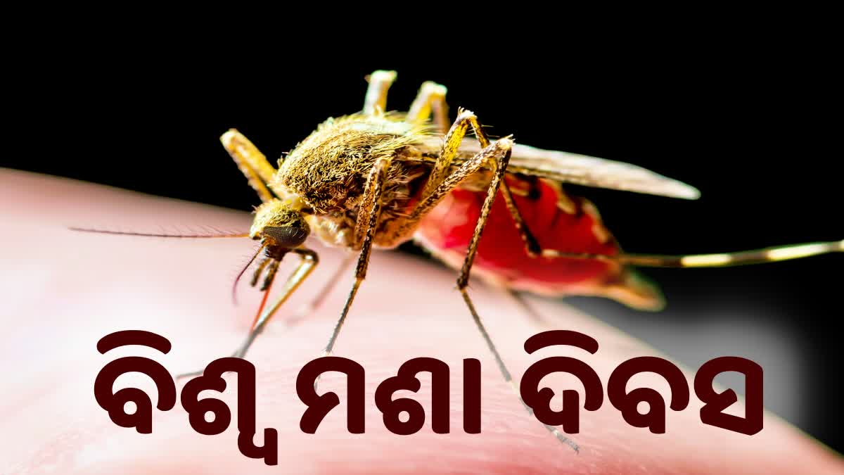 World Mosquito Day