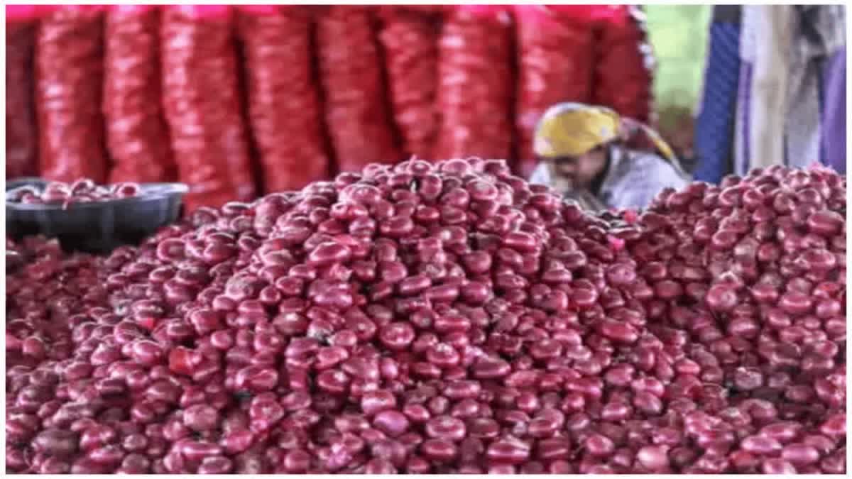 onion export ban Maharashtra Onion Producing Farmers association agitation warning  against centers onion export new rule