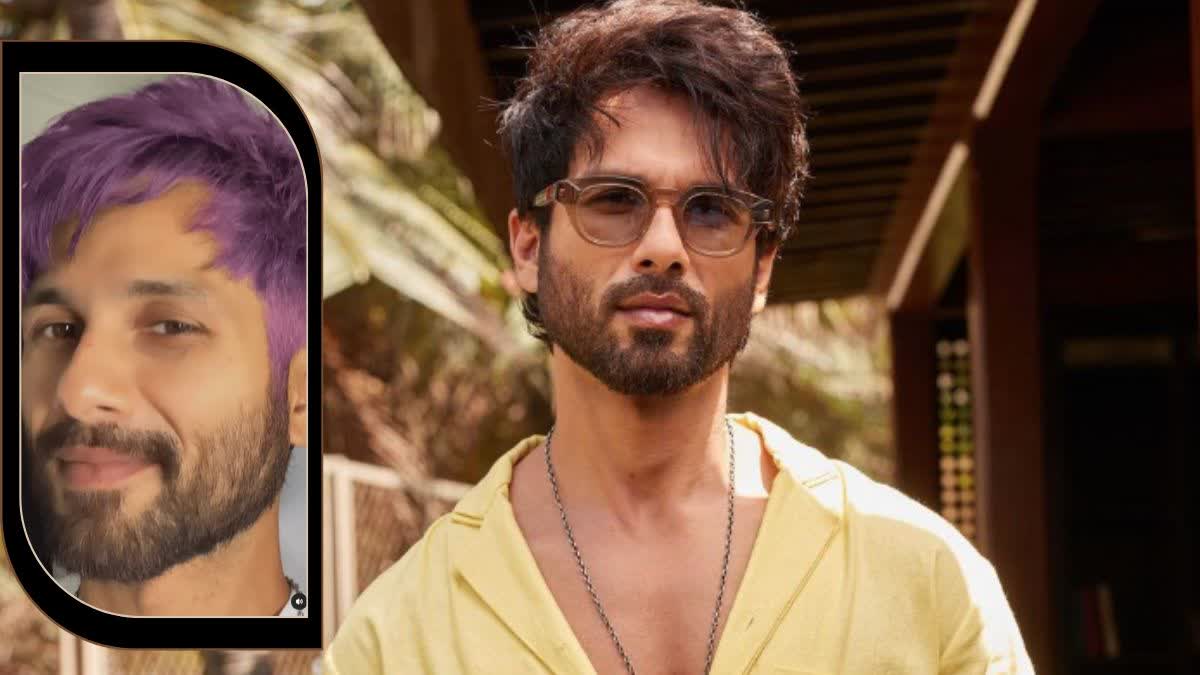 Shahid Kapoor: Sporting a beard is very masculine