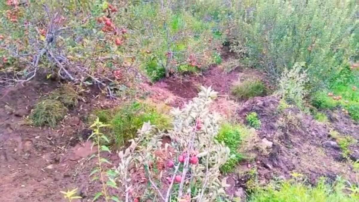 Apple Crop Damaged Due to landslide