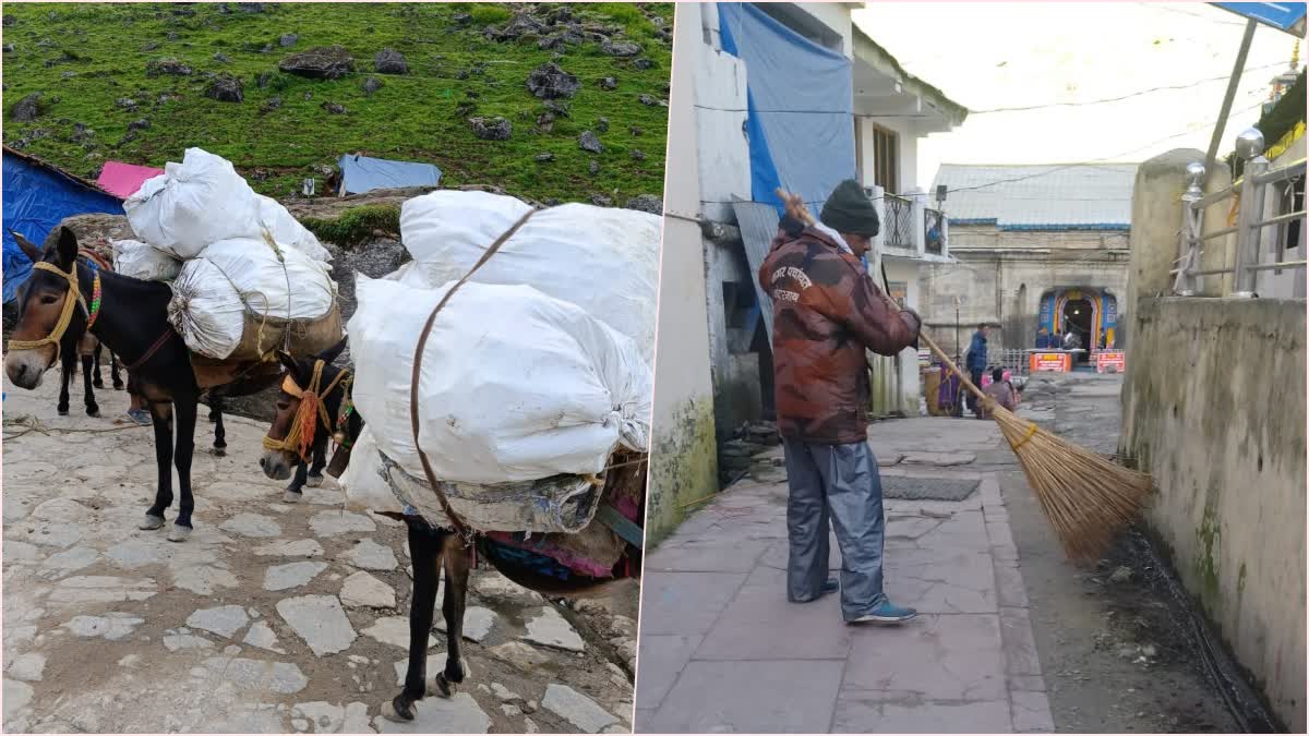 Plastic Waste Collected from Kedarnath