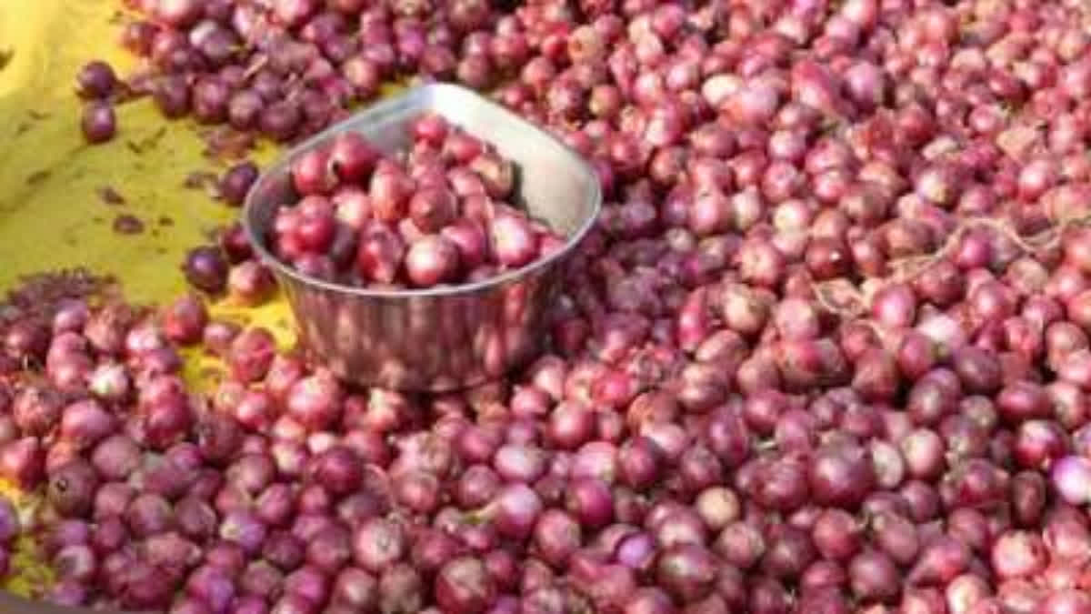 Maharashtra: Farmers protest at wholesale markets against imposition of 40 pc duty on onion export