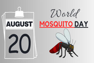 World Mosquito Day 2023