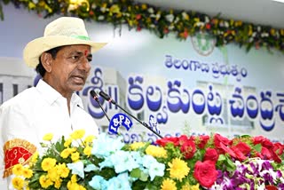 CM KCR