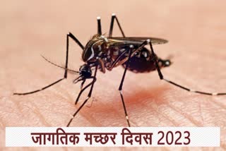 World Mosquito Day