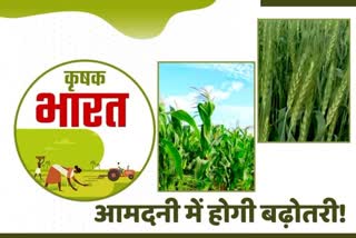 Crop Diversification Program in Haryana