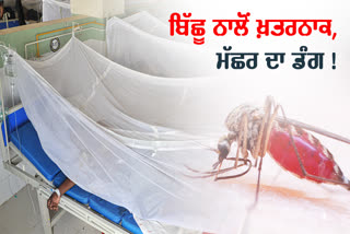 World Mosquito Day, Types Of Mosquitoes, Dangue, Malaria, chikungunya