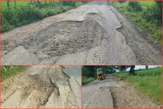 Damaged roads in AP