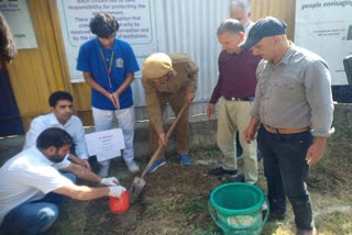 department-of-social-forestry-conducted-plantation-drive-in-budgam