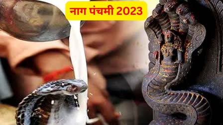 Nag Panchami 2023