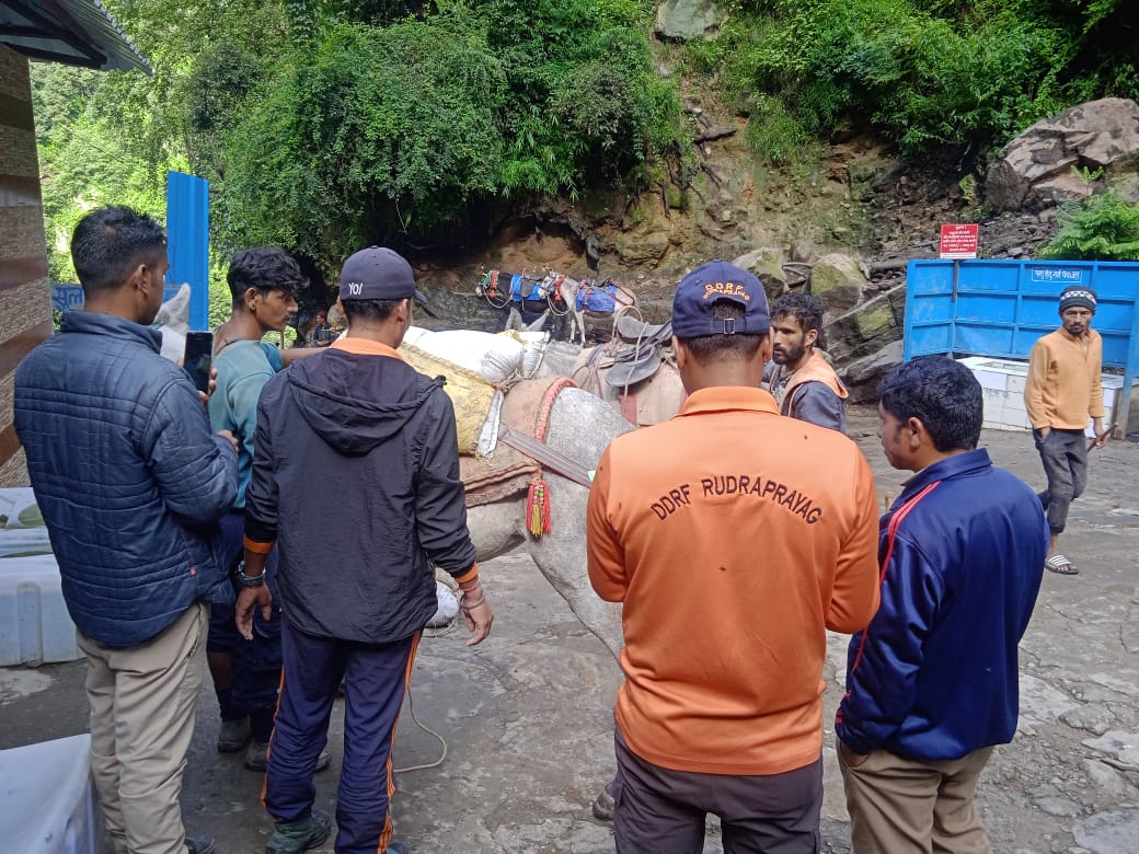 Atrocities on animals on Kedarnath Yatra route