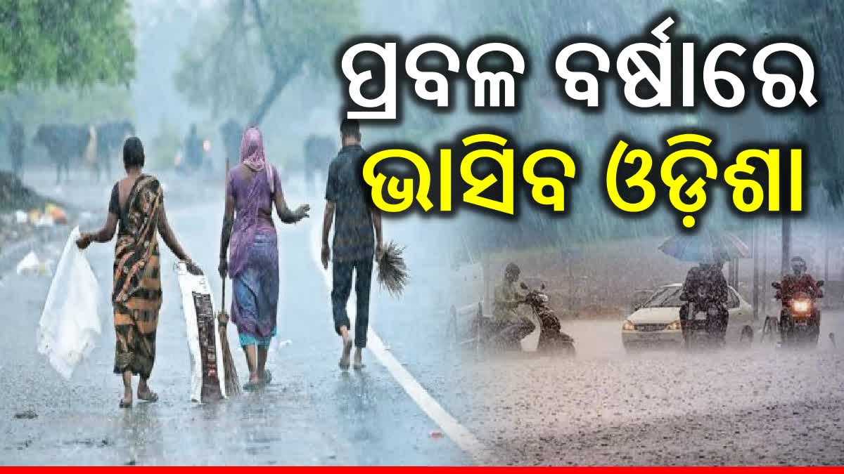 odisha weather update