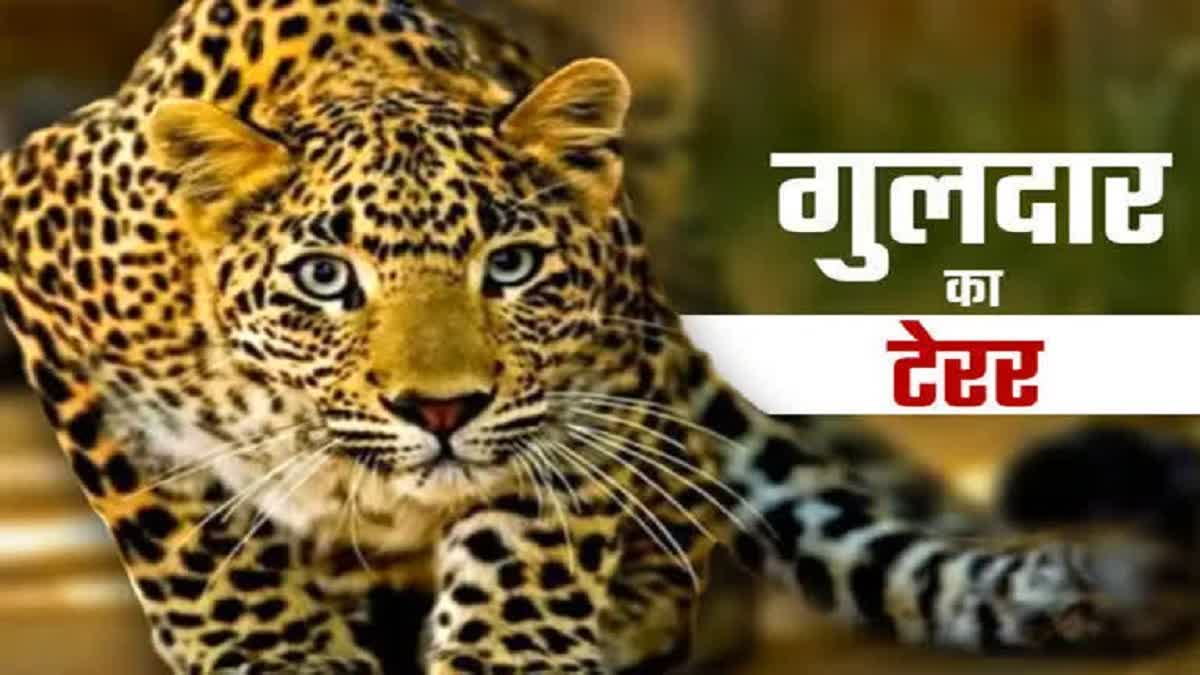 Pauri Child Died In Leopard Attack