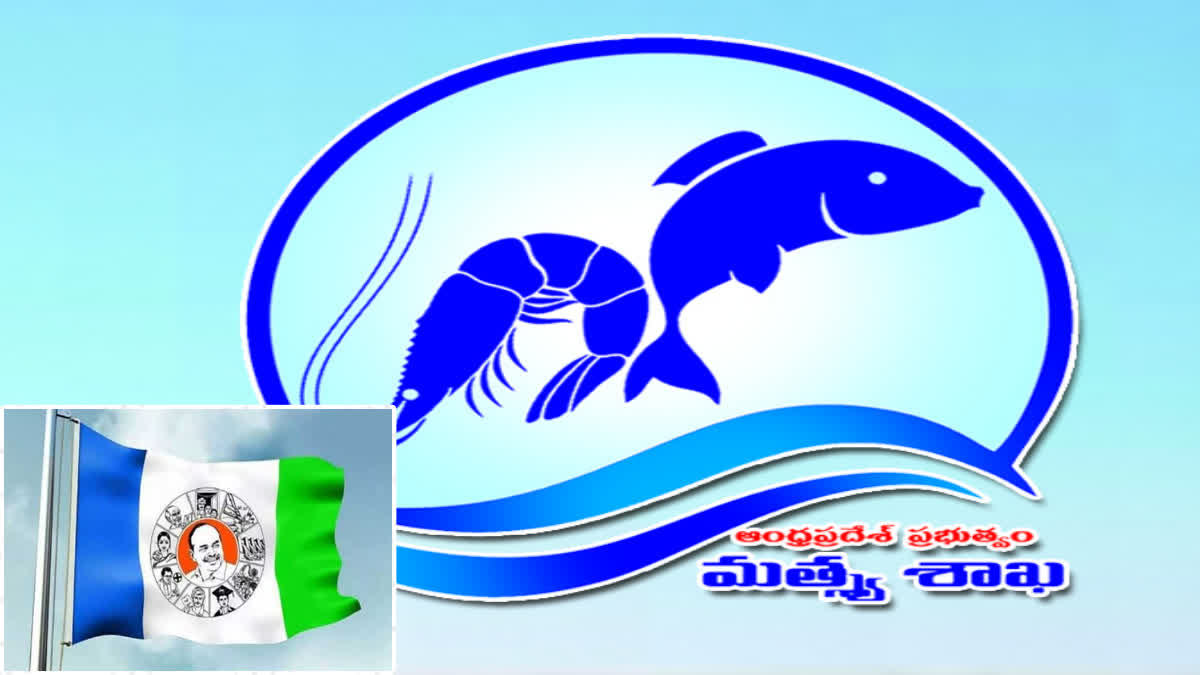 Fish Andhra Scheme