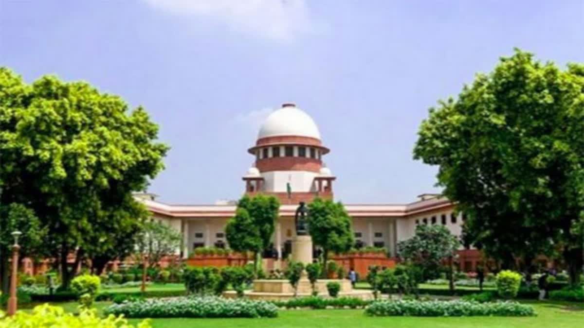 Kolkata rape-murder: Supreme Court sets up National Task Force for doctors' safety