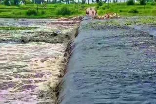 Heavy Flood Water To Yadadri Musi River