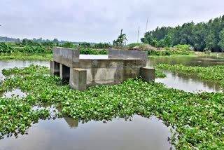 BRIDGE IN MIDDLE OF BAKRA RIVER