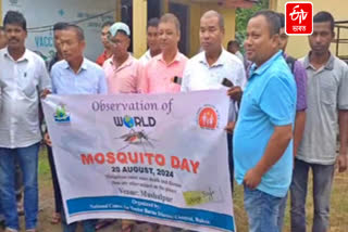 World Mosquito Day 2024