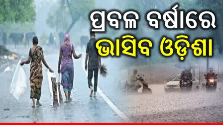 odisha weather update