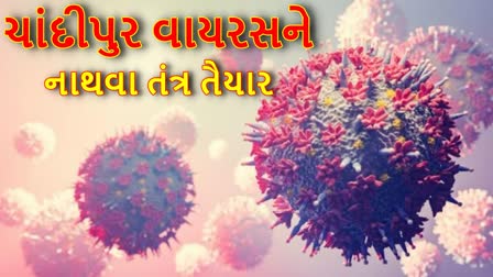 ચાંદીપુરા વાયરસ નિયંત્રણ માટે પ્રયાસ