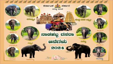 ಜಂಬೂ ಸವಾರಿಯಲ್ಲಿ ಭಾಗವಹಿಸುವ 14 ಆನೆಗಳು