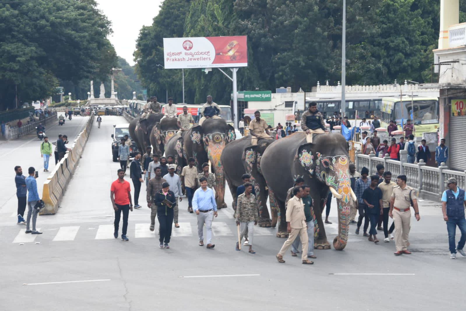 Mysuru dasara  Gajapayana  Dasara celebration  Mysuru