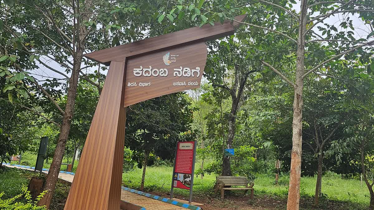 Digital touch to Salumarada thimmakka park by forest department in Banavasi