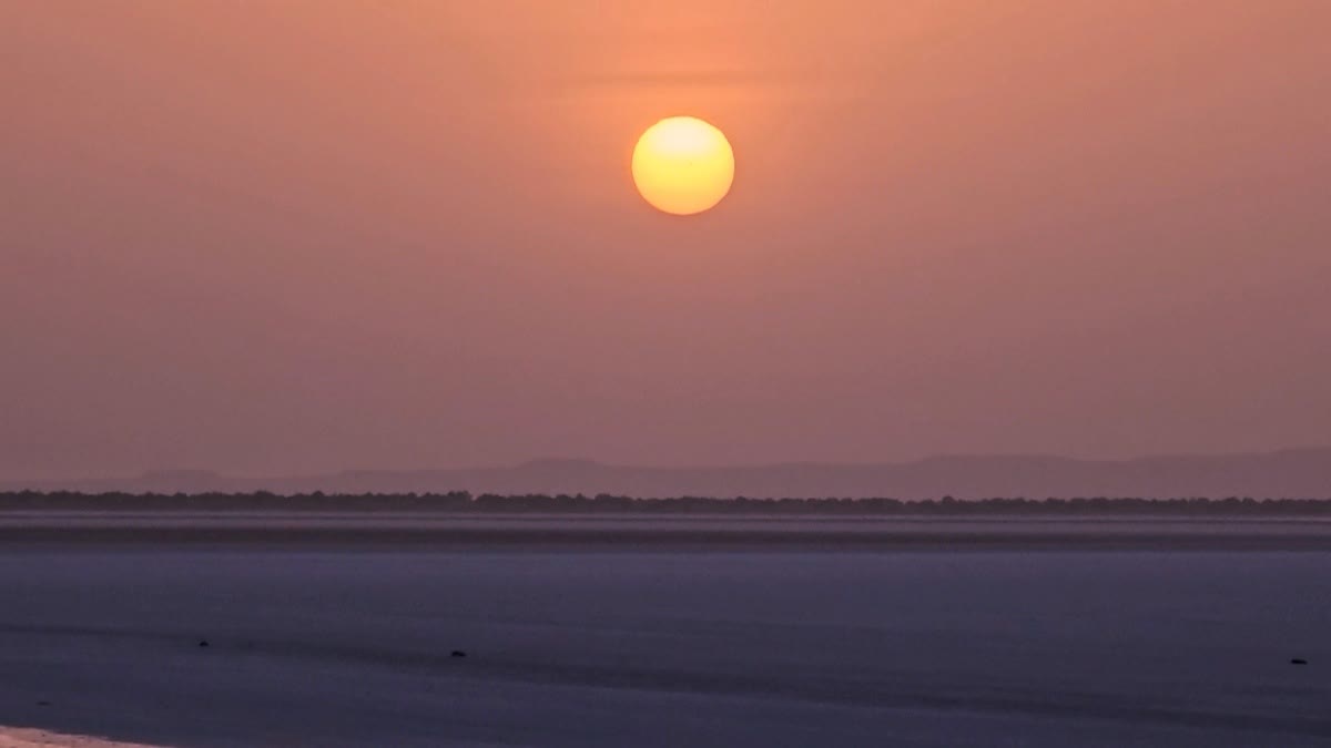 કચ્છના સફેદ રણે ધારણ કર્યો છે ગુલાબી રંગ