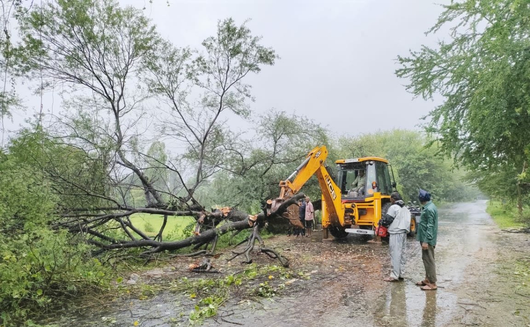 108 ઘર અને 105 વૃક્ષો ધરાશાયી