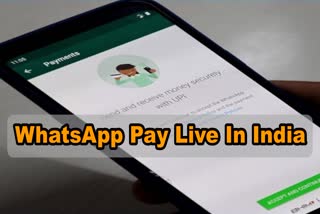 WhatsApp users in India can now pay using UPI apps