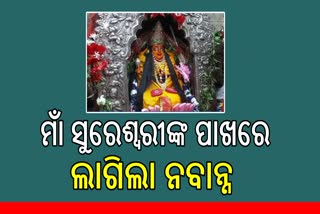 ମାଁ ସୁରେଶ୍ୱରୀଙ୍କ ପାଖରେ ଲାଗି ହେଲା ନବାନ୍ନ