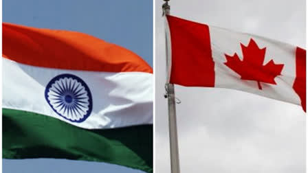 India-Canada row: Ottawa's allies 'not keen' to take sides