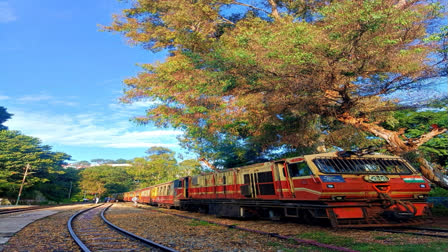 After a gap of seventy days, the toy train service between Kalka and Solan was restored on Wednesday. The plying of the heritage train between Kalka and Shimla was put on hold due to damage to the railway tracks.