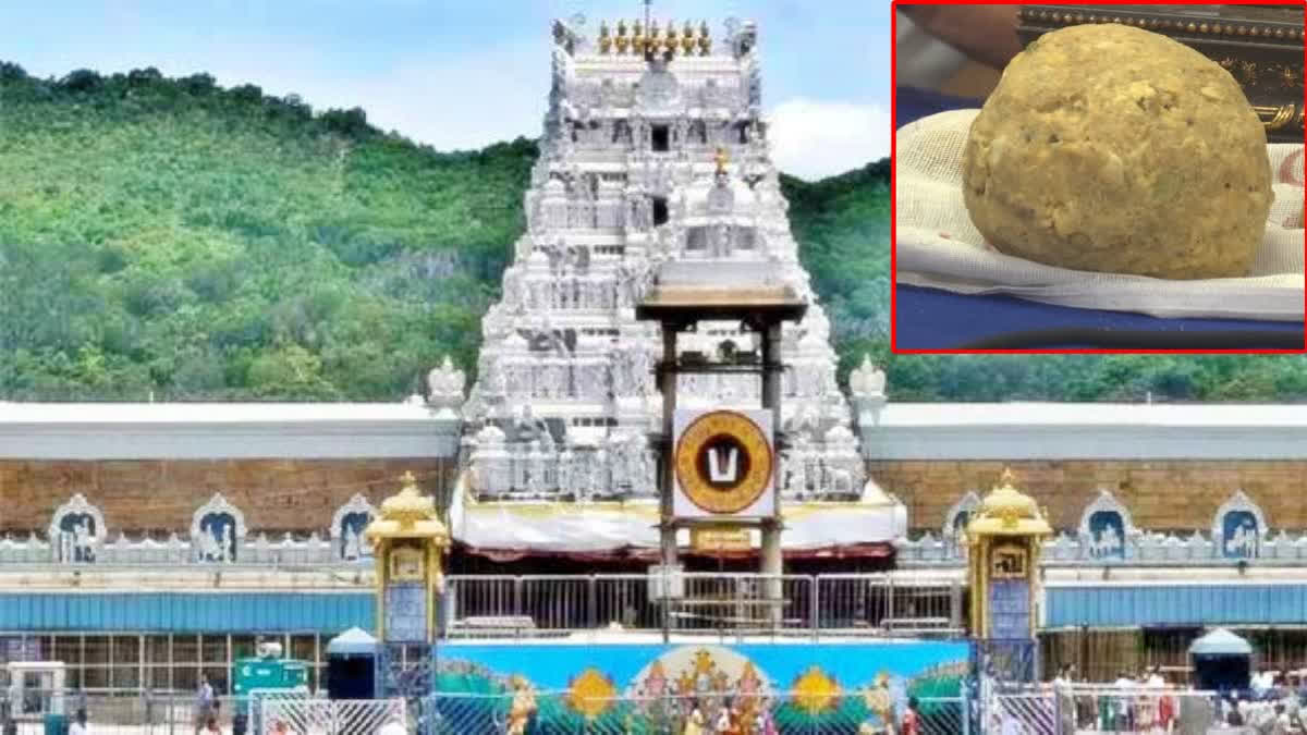 Andhra Pradesh CM N Chandrababu Naidu accused the previous YSRCP government of desecrating the Tirumala temple and undermining its sanctity by serving substandard food to devotees. He announced that a sanitization process had begun and promised stringent actions against those responsible for using inferior ingredients in the temple's offerings.