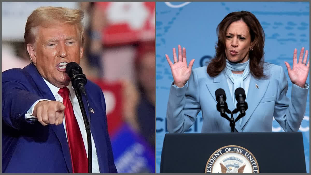 national election campaigns  US presidential election  Donald Trump  Kamala Harris