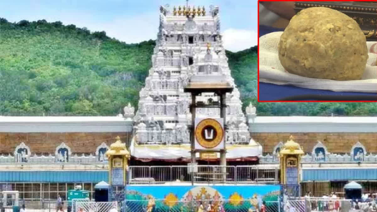 Chandrababu Naidu on Tirupati Laddu