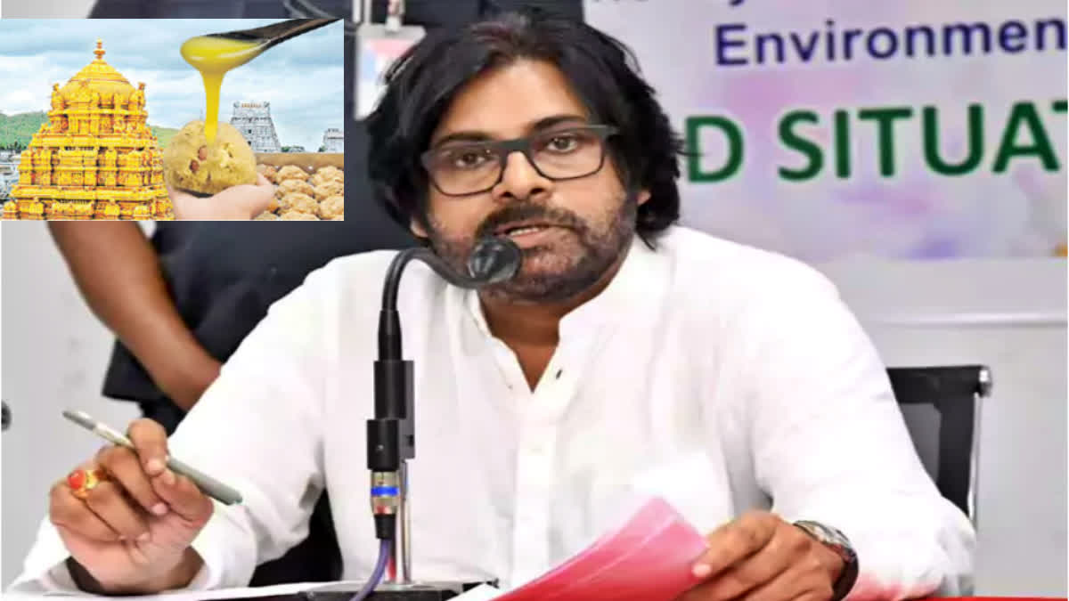 pawan_kalyan_about_tirumala_laddu_issue