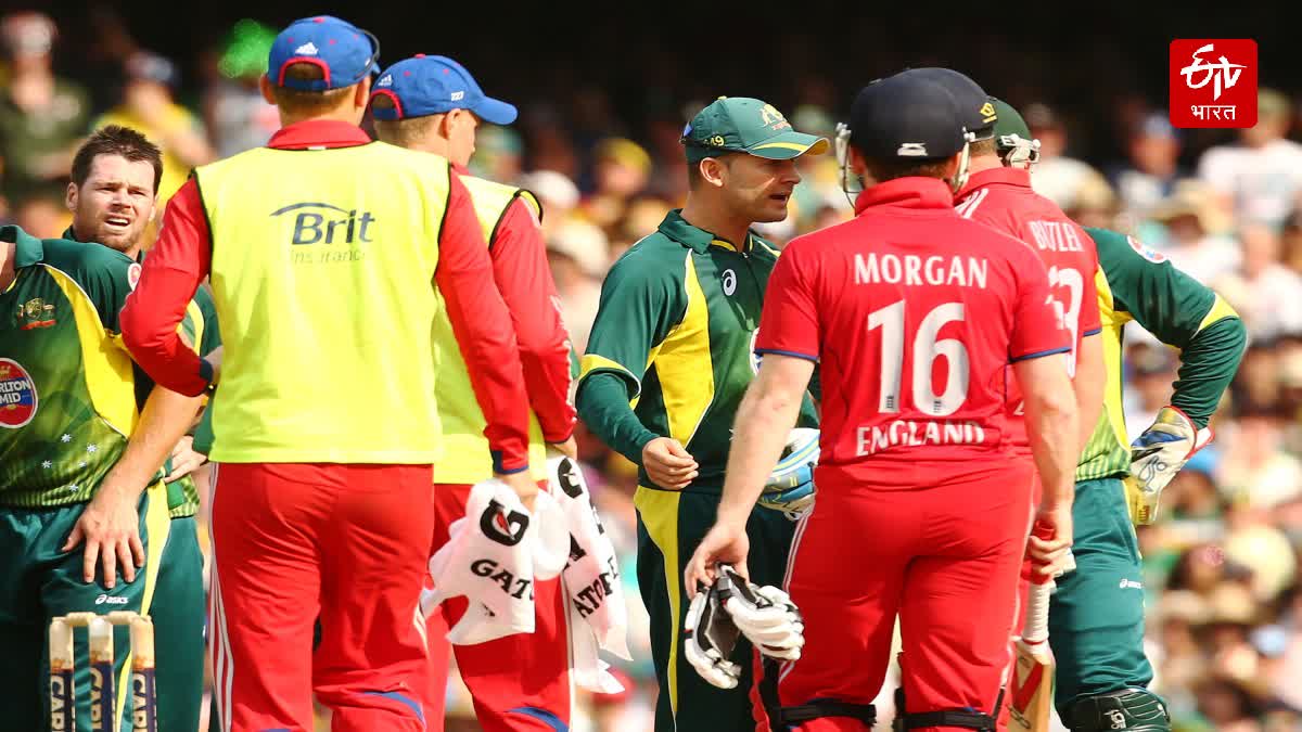 Fighting in Live Cricket Match